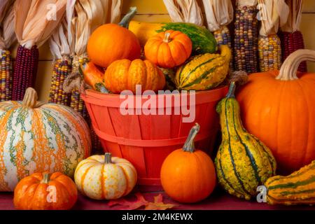 Cestino arancione con zucche autunnali ancora vita Foto Stock