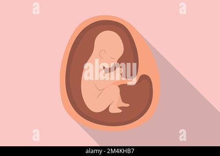 embrio dell'utero del bambino per la gravidanza o incinta con stile piatto moderno e illustrazione lunga del vettore dell'ombra Foto Stock