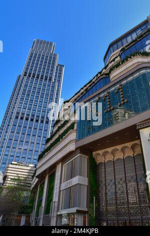 K11 musei Mall a Tsim Sha Tsui- Hong Kong Foto Stock