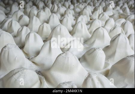 Una stanza di cappelli di paglia di toquilla, anche conosciuto come cappelli di Panama, prima di essere pressato in forma in una fabbrica situata a Cuenca in Ecuador. Foto Stock