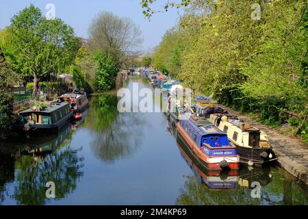 Chiatte colorate (case galleggianti) ormeggiate e riflessi e alberi lungo il Regent’s Canal a Victoria Park, Londra, Inghilterra Foto Stock