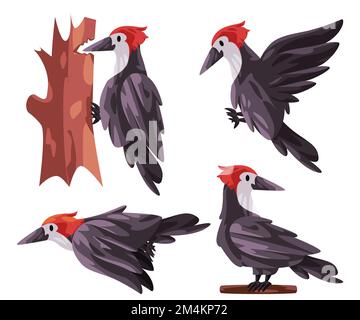Woodpecker Picidae Bird pone il supporto per la mosca con la testa rossa bianco nero illustrazione grafica Illustrazione Vettoriale