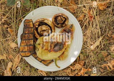 zucchine fritte al pepe melanzane e funghi grigliati in estate per un pic-nic, verdure grigliate erba secca nella foresta in autunno primo piano Foto Stock