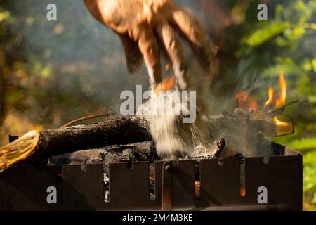 Grill portatile con legna da ardere in estate in un pic-nic nella foresta in Ucraina Foto Stock