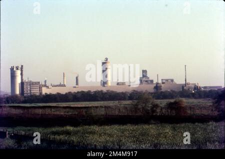 L'industria produce cinque fertilizzanti chimici di base: Fosfato, ammoniaca, urea, nitrato di ammonio e acido nitrico. India Foto Stock