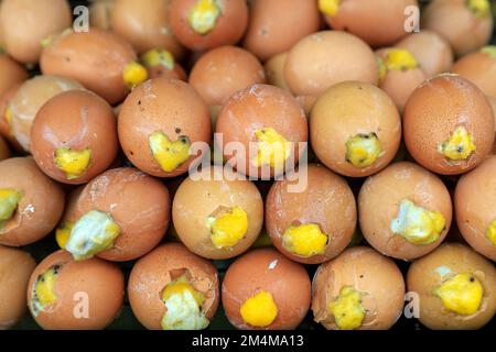 Balut è un embrione di uovo in via di sviluppo fecondato che viene bollito o cotto a vapore e mangiato dal guscio. E 'comunemente venduto come cibo di strada nel Sud della Cina e. Foto Stock