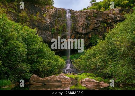 Tamarind Falls l'altro nome è sette cascate nell'isola di Mauritius, distretto di Rivivière Noire. Incredibile wiev zona verde intoccabile con acqua pulita e. Foto Stock