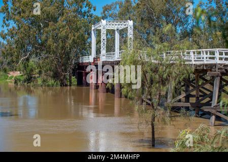 Lo storico ponte sospeso sul fiume Darling a North Bourke, nell'entroterra del nuovo Galles del Sud, in Australia, ha mostrato qui durante le alluvioni del 2022 Foto Stock