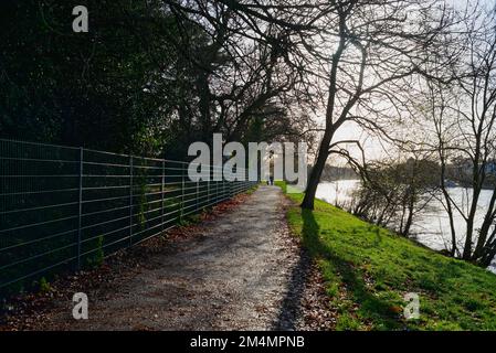 Il sentiero lungo il Tamigi in una giornata di inverni soleggiati a Staines Surrey Inghilterra UK Foto Stock