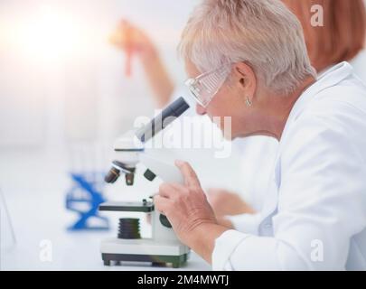 la scienziata femminile conduce ricerche in laboratorio. Foto Stock