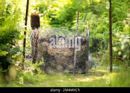 Girando un palo termofilico di composto di fotoricettore di alimento del suolo pieno di microrganismi, in America ed in Australia. in primavera Foto Stock