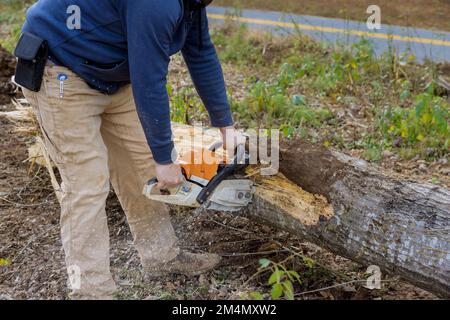 Lavoratore che segava alberi dopo l'uragano albero è caduto giù durante la tempesta di tufo Foto Stock