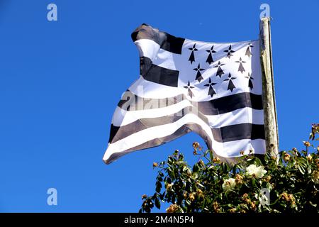 Un primo piano della bandiera di Bretagna in bianco e nero che ondola nell'aria Foto Stock