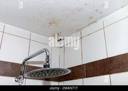 inizio della formazione di muffa sul soffitto del bagno, parete bagnata Foto Stock