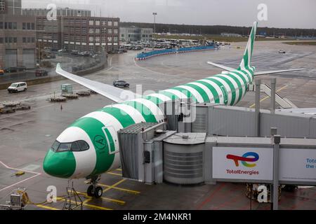 22 dicembre 2022, Hessen, Francoforte sul meno: All'aeroporto di Francoforte viene presentato il nuovo aeromobile della società Condor, l'Airbus A330 Neo nel suo look a righe, visibile anche in cabina. Foto: Helmut Fricke/dpa Foto Stock