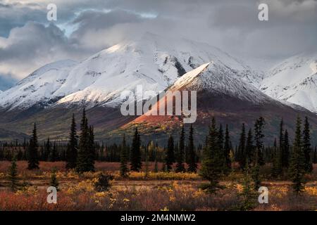 Colori autunnali, Tundr-Taiga, Alaska Foto Stock