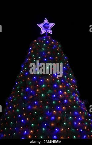 Un albero di Natale fatto di tumbleweed avvolto in luci colorate e sormontato da una stella. Foto Stock