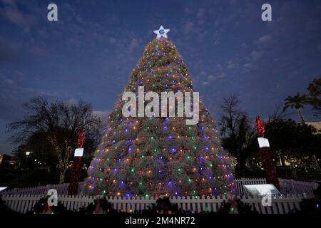 Un albero di Natale fatto di tumbleweed avvolto in luci colorate e sormontato da una stella. Foto Stock