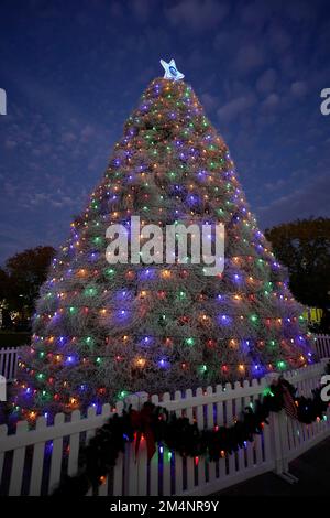 Un albero di Natale fatto di tumbleweed avvolto in luci colorate e sormontato da una stella. Foto Stock