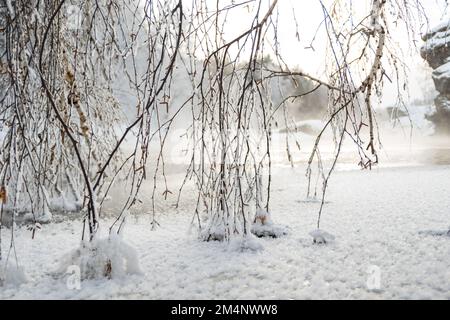 Paesaggio invernale Nord Inverno Fiume tranquillo con alberi ricoperti di gelo e neve in acqua. Bellissimi rami di albero ghiacciato. Foto Stock