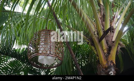 Lampada di lampione dalla copertura tessuta di bambù appesa nell'albero al giardino pubblico del parco Foto Stock