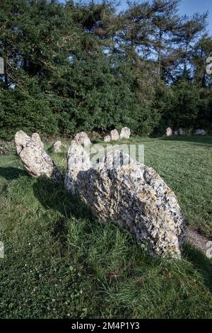 Il Rollright Stones nei pressi del villaggio di Long Compton sui confini di Oxfordshire e Warwickshire in Inghilterra, Regno Unito Foto Stock