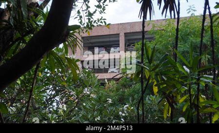 Surabaya, Giava Orientale, Indonesia - Dicembre, 2022 : Auto parcheggiate in cima all'edificio visto dal basso tra gli alberi Foto Stock
