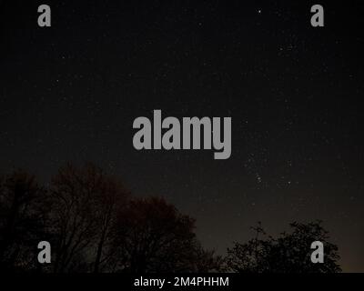 Cielo notturno invernale sul Sussex, con costellazioni Orione, Gemelli, Lupo e Toro e alberi silhouted. Foto Stock