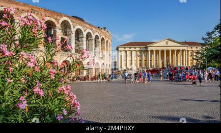 Arena di Verona e Palazzo Barbieri in Piazza Bra, Verona, Veneto, Italia Settentrionale Foto Stock