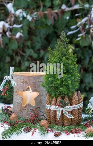 decorazione natalizia con picea glauca, coni di abete e lanterna in legno nel giardino d'inverno Foto Stock