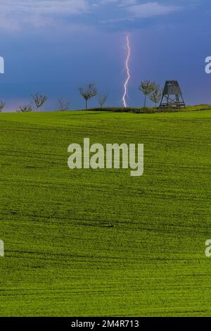 Torre di caccia al centro del campo. Kyjov, Moravia meridionale, Repubblica Ceca, Repubblica Ceca Foto Stock