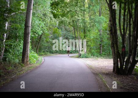 La strada forestale. Solitario pedonale a piedi in distanza. Obiettivo ART. Bokeh vortice. Concentratevi sul centro. Foto Stock