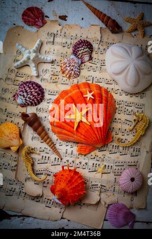 Seashells su Sheet Music Still Life Foto Stock
