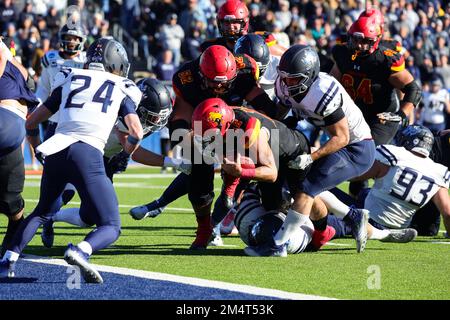 Ferris state Bulldogs Carson Gulker (12) è fermato a breve della linea di meta dalla Colorado School of Mines Orediggers linebacker Nolan Reeve (46) dur Foto Stock