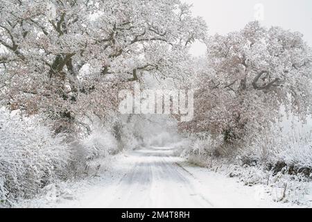 Campagna del Warwickshire nella neve d'inverno. Cotswolds, Warwickshire, Inghilterra Foto Stock