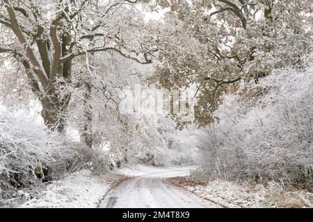 Campagna del Warwickshire nella neve d'inverno. Cotswolds, Warwickshire, Inghilterra Foto Stock