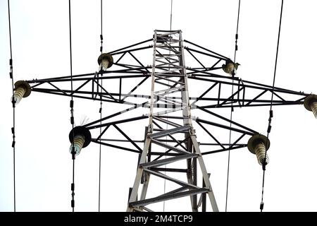 Le grandi torri di trasmissione ad alta tensione. Struttura in acciaio Power Pylon con cavi ad alta tensione su sfondo cielo Foto Stock