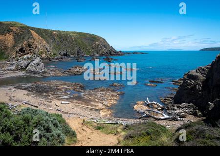 Litorale roccioso, Whitireia Park, Titahi Bay, Porirua, Wellington, Isola del Nord, Nuova Zelanda Foto Stock