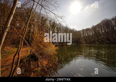 Il lago di pesca a Moss Valley, Brynteg, Wrexham, Galles del Nord, Regno Unito Foto Stock