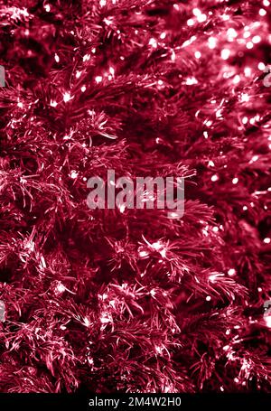 Texture senza cuciture di rami di abete decorato con belle luci di Natale come sfondo. Tonalità magenta trendy dell'anno 2023. Ottimo sfondo per il design del concetto di vacanza. Spazio di copia. Foto Stock