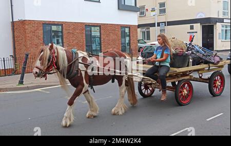 Carovana tradizionale zingara che attraversa High St, Cheltenham, Gloucestershire, Inghilterra, Regno Unito, GL50 3JF Foto Stock