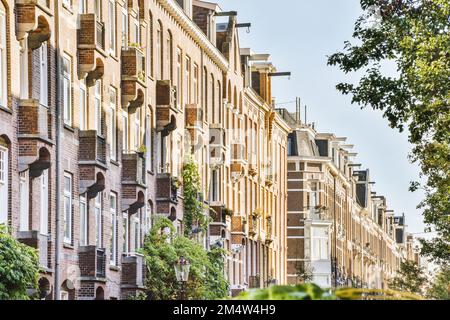 una fila di case nel mezzo di una zona urbana con alberi e cespugli che crescono su entrambi i lati della strada Foto Stock