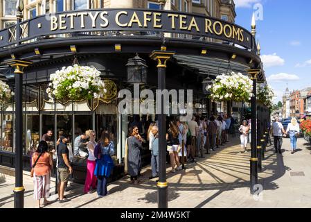 Harrogate Yorkshire lunga coda di persone fuori Bettys sale da tè Harrogate Parliament Street Montpellier quartiere Nord Yorkshire Inghilterra UK GB Europa Foto Stock