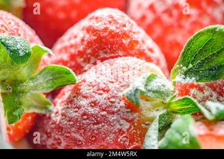 Foto ravvicinata delle fragole rosse fresche sulla torta Foto Stock