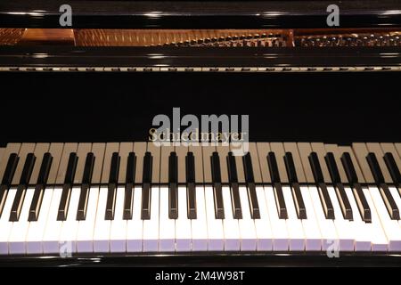 Tastiera di un pianoforte nero lucido con marchio visibile: Schiedmayer Foto Stock