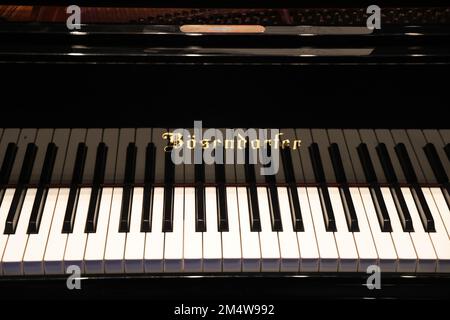 Tastiera di un pianoforte nero lucido con marchio visibile: Bösendorfer Foto Stock