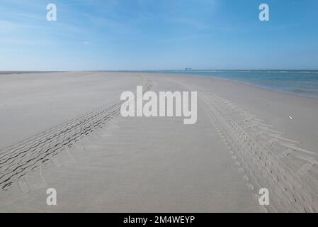 Prospettiva di tracce di pneumatici sulla spiaggia sabbiosa con blu scuro cielo molto nuvoloso Foto Stock