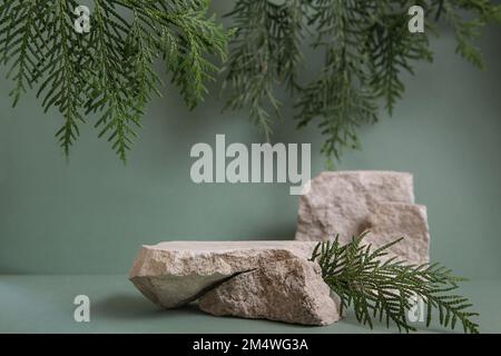 Podio di pietra, foglie verdi, presentazione di imballaggi e cosmetici su sfondo verde. Foto Stock