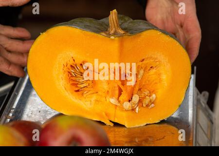 Metà o sezione di una zucca biologica fresca d'arancia con semi in un mercato agricolo agricolo di strada nelle mani del venditore pronto per essere venduto Foto Stock