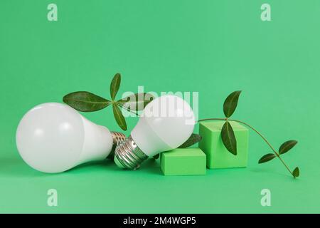 Energia verde lampadina. Energia rinnovabile. Protezione dell'ambiente, fonti energetiche rinnovabili e sostenibili. Foto Stock